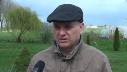 Tadeusz Tarach