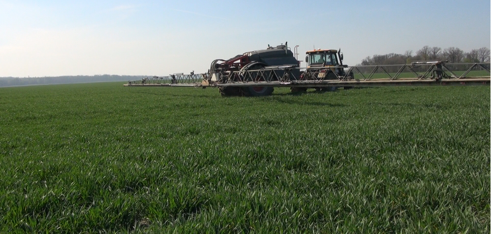 Zabieg T2 w pszenicy już niebawem! [WIDEO]