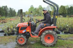 Kubota B1181