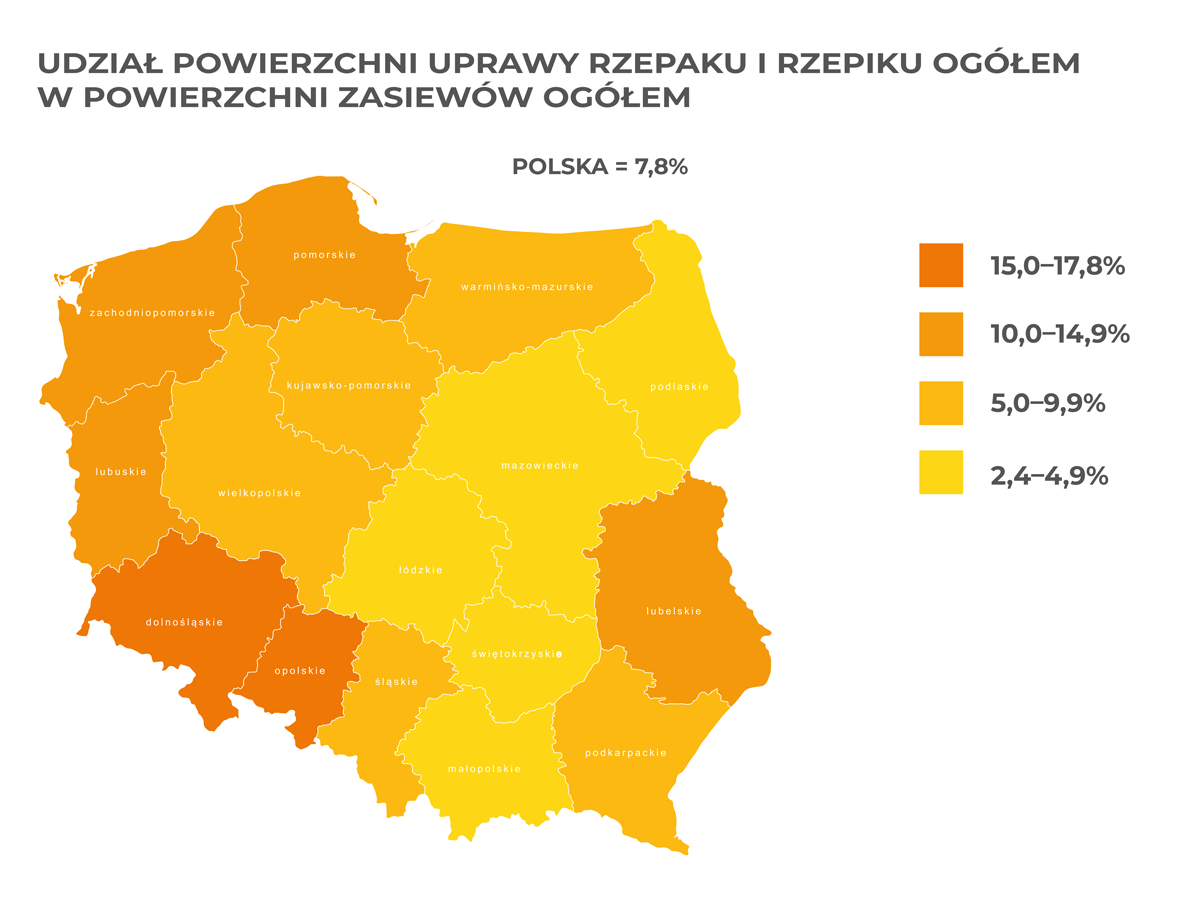 Na Mapach Przedstawiono Rozmieszczenie Upraw Pszenicy I Ziemniaków W Polsce Rozmieszczenie upraw rzepaku w Polsce - najnowsze dane - agrofakt.pl