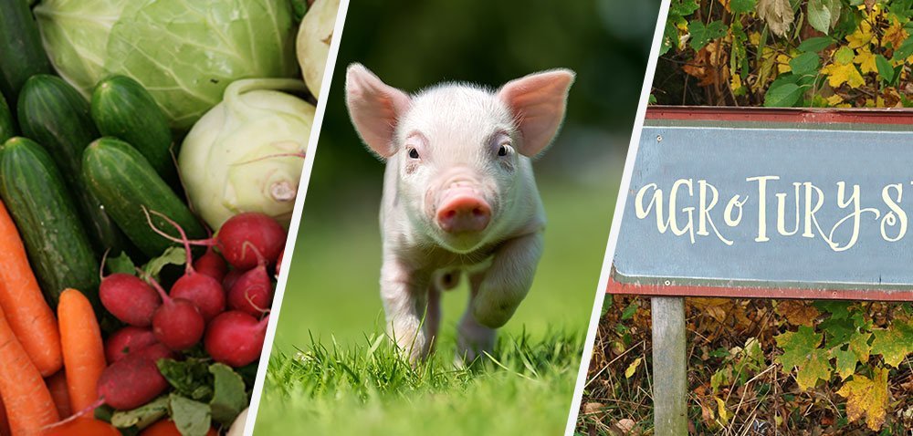 Turystyka wiejska na topie! [AKTUALNOŚCI]