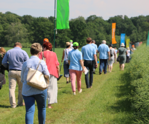 Nowe środki ochrony roślin na nowy sezon i nie tylko!