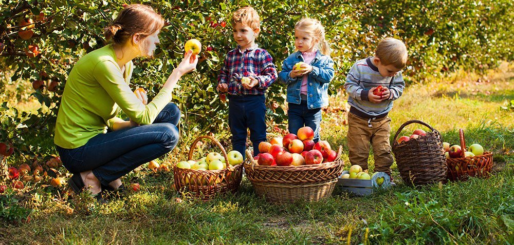 Sprzedaż owoców i&nbsp;warzyw może być łatwiejsza [AKTUALNOŚCI]