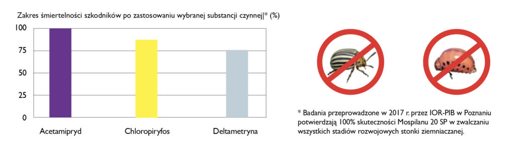 zwalczanie stonki ziemniaczanej - skuteczność acetamiprydu