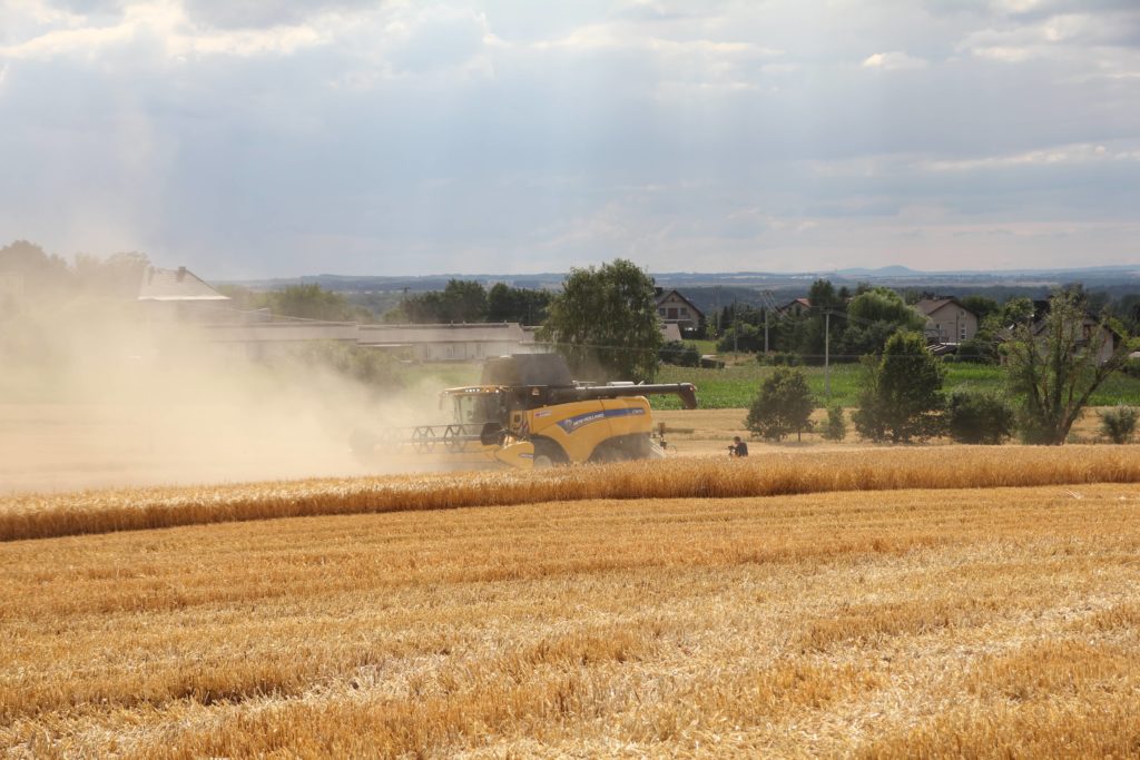 Pokazy polowe New Holland. Czyli żniwa po polsku