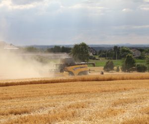 Pokazy polowe New Holland. Czyli żniwa po polsku
