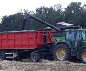 Cena rzepaku 2021 najwyższa od 9&nbsp;lat! A&nbsp;co z&nbsp;cenami zbóż?