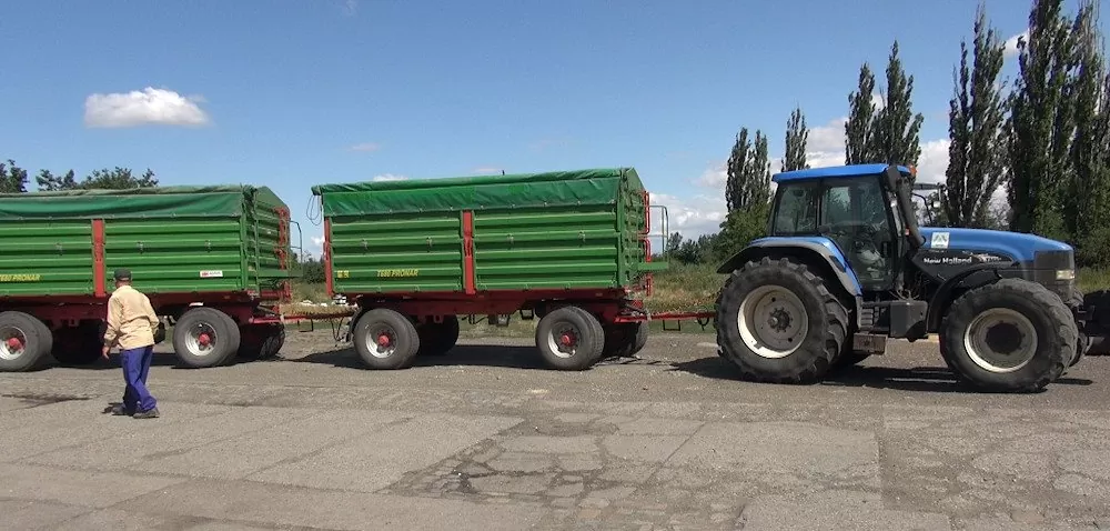 Skup rzepaku – czy ceny jeszcze wzrosną? [WIDEO]