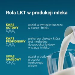 żwacz