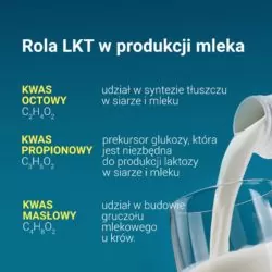 żwacz