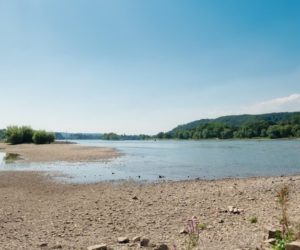 IMGW: poziom wody w&nbsp;rzekach jest bardzo niski [AKTUALNOŚCI]