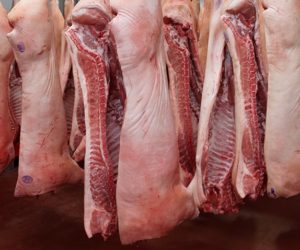 Rynek żywca wieprzowego w&nbsp;kryzysie. Zapaść cenowa i&nbsp;spadek pogłowia