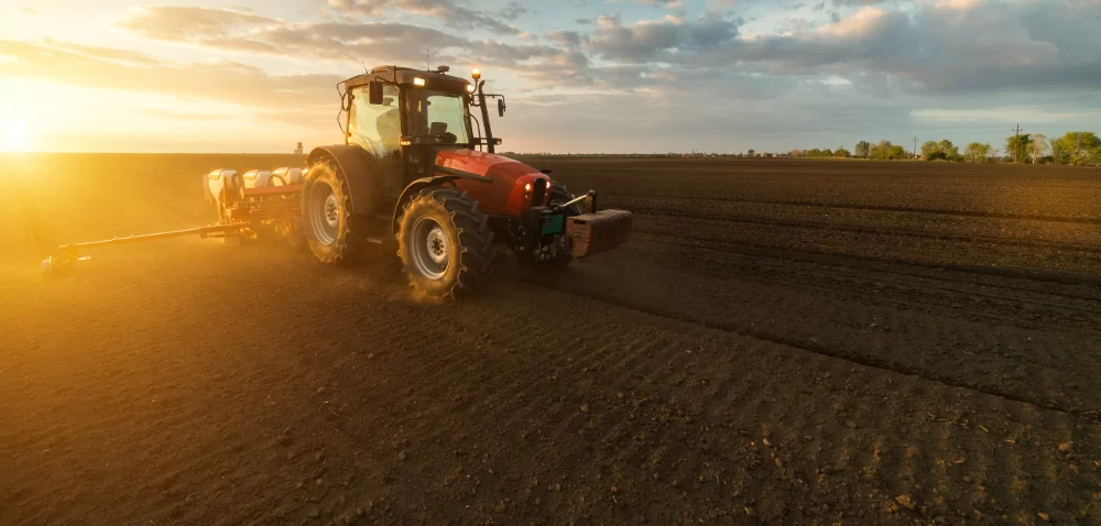 Siew rzepaku 2020. Kapryśna aura utrudnia prace