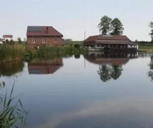 bezpieczne gospodarstwo na stawach