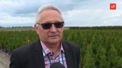 Andrzej Ruczyński 