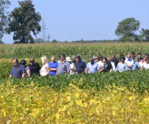 Dni Soi – sprawdź gdzie warto się wybrać! [ZAPROSZENIE]