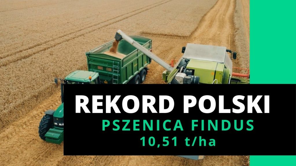 Nowy rekord Polski na największy plon pszenicy ozimej z hektara