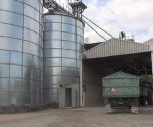 Mokre żniwa przy granicy z&nbsp;Czechami