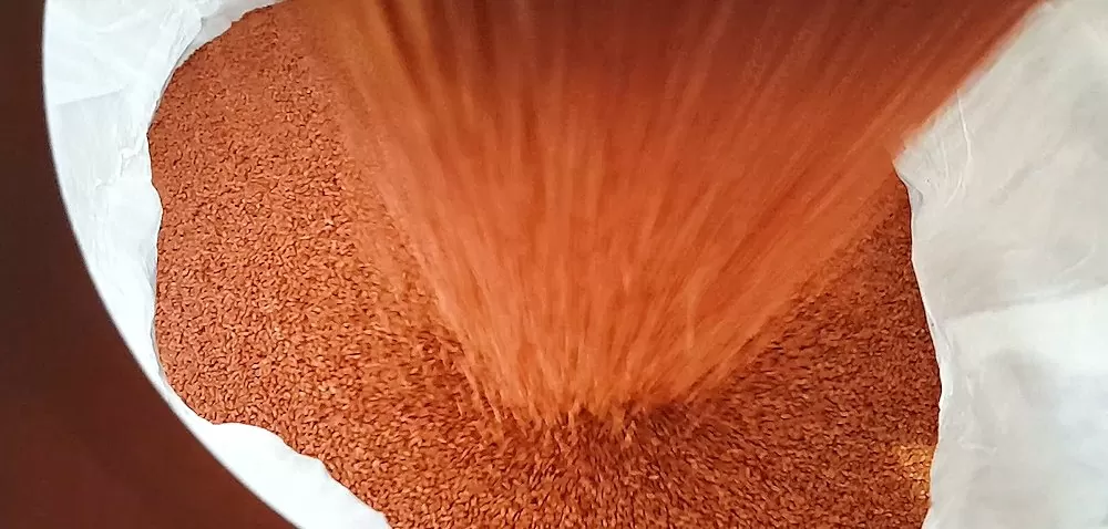 Stopnie kwalifikacji materiału siewnego. To warto wiedzieć