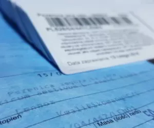 Co oznaczają skróty na opakowaniach nasion?
