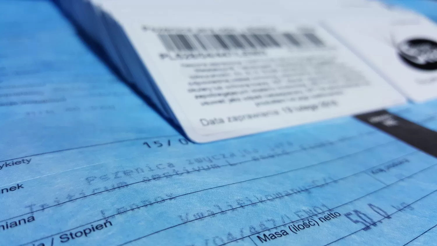 Co oznaczają skróty na opakowaniach nasion?