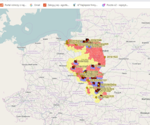 Bezzwrotna premia za rezygnację z&nbsp;hodowli świń. Nie przegap terminu!