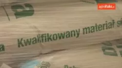 w tym roku rolnicy wybierają rzepak mieszańcowy