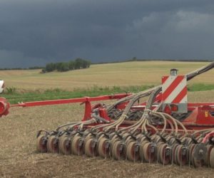 Opolskie: tegoroczny siew rzepaku już rozpoczęty