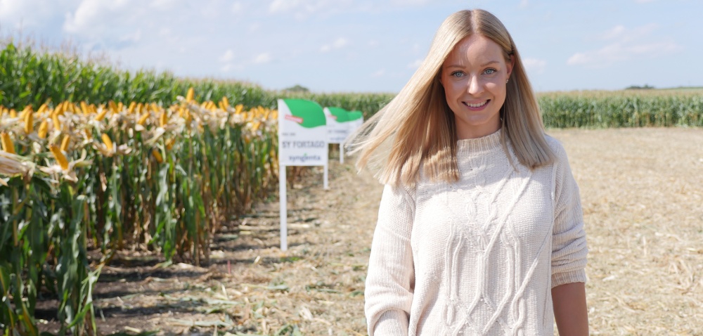 Na Dolnym Śląsku kukurydza pokazała klasę! [WIDEO]