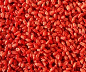 Nabór wniosków o&nbsp;materiał siewny – wydłużony do 30 lipca?