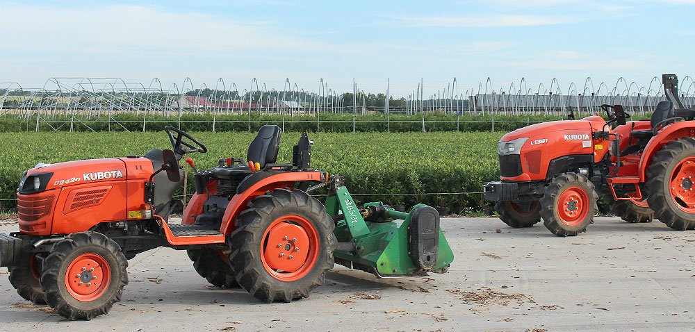 51 traktorów Kubota pracuje na plantacji borówki amerykańskiej