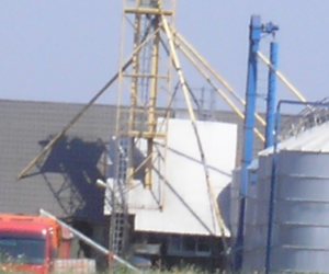 Grupy i&nbsp;organizacje producentów. 100 000 euro co roku przez 5&nbsp;lat!