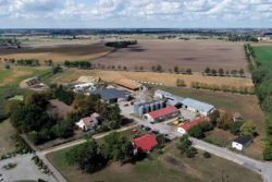 Gospodarstwo rolne Pana Macieja Amrozego