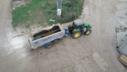 skuteczne żywienie krów