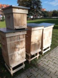 Który miód jest najlepszy