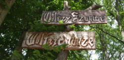 Wilczy szaniec