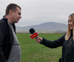 Jak przygotować pszenicę na zimę? Rozmowa z&nbsp;rolnikiem [WIDEO]