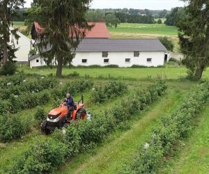 Niezawodna maszyna do pracy wśród malin