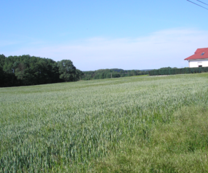 System dla małych gospodarstw – wystąpienie za pomocą eWniosku