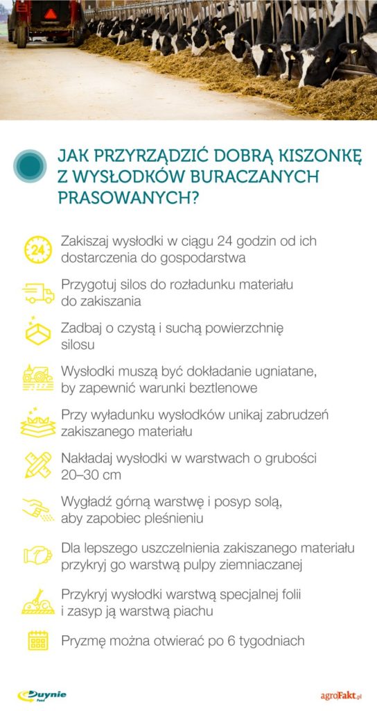 kiszonka z wysłodków buraczanych