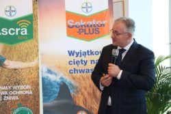 Radosław Suchorzewski Bayer