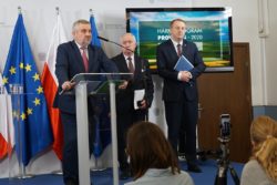 harmonogram naborów prow 2020