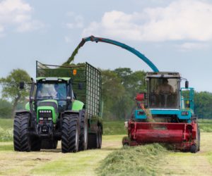 Kiszenie, najlepsza metoda konserwacji pasz objętościowych