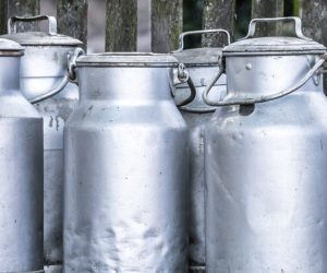 Eksport produktów mleczarskich wyhamował! Presja obniżek