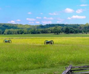 Prognoza rolnicza na rok 2020. Czas wyciągnąć grube działa