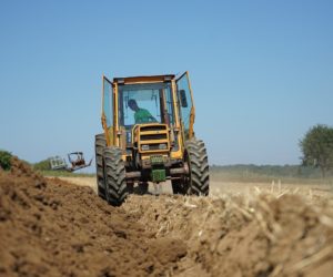 Zwolnienie ze składek KRUS za II kwartał – apel NSZZ RI „Solidarność”