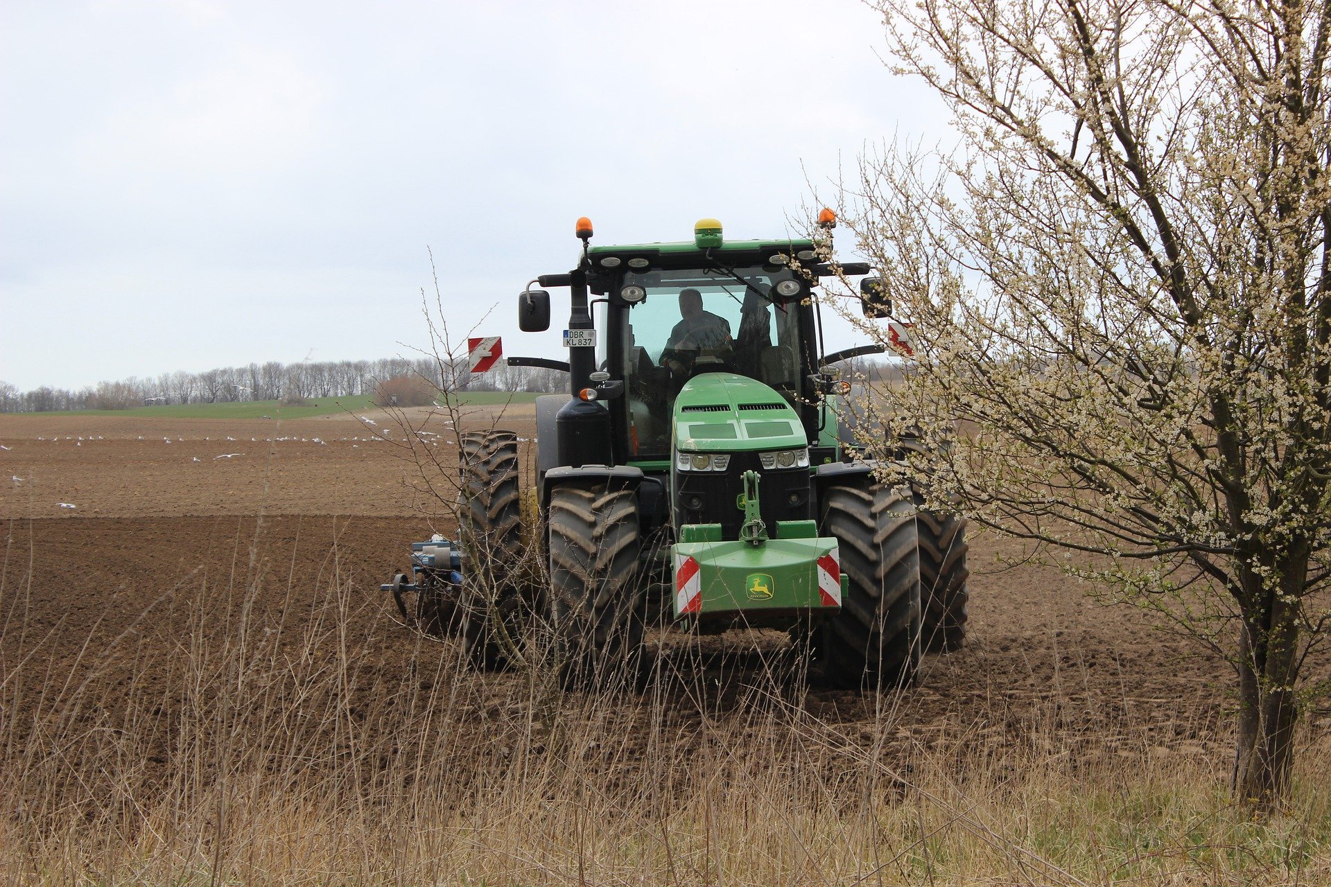 Grunty po 2&nbsp;stronach granicy – problem rolników w&nbsp;czasie epidemii