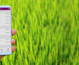 Spróbuj nowoczesnych rozwiązań – jak ograniczyć koszty i zwiększyć plony? [webinarium]