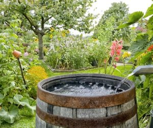 Program gromadzenia wody w&nbsp;gospodarstwie – propozycja PZPRZ