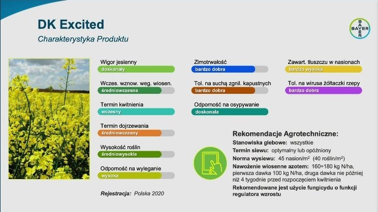 Konferencja prasowa Bayer- nowości w ofercie dla rzepaku Dekalb